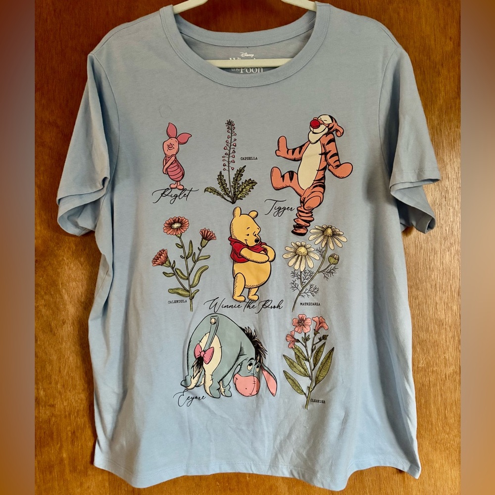 🍯 Disney T-Shirt Winnie The Pooh, Tigger, Piglet, and Eeyore - XXL